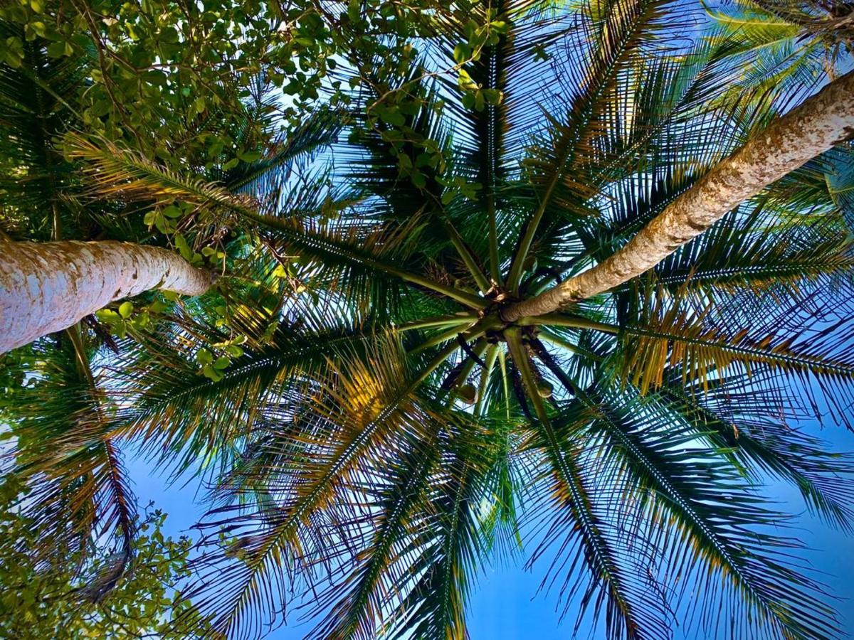 Coral Hill Bungalows Cahuita Ngoại thất bức ảnh