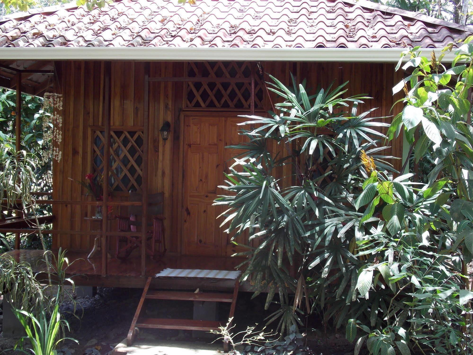 Coral Hill Bungalows Cahuita Ngoại thất bức ảnh