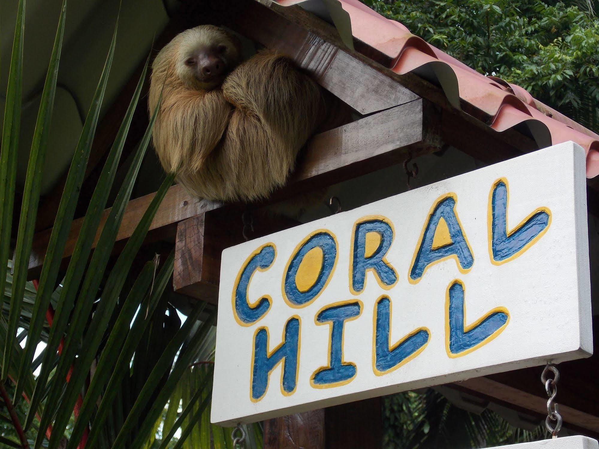 Coral Hill Bungalows Cahuita Ngoại thất bức ảnh