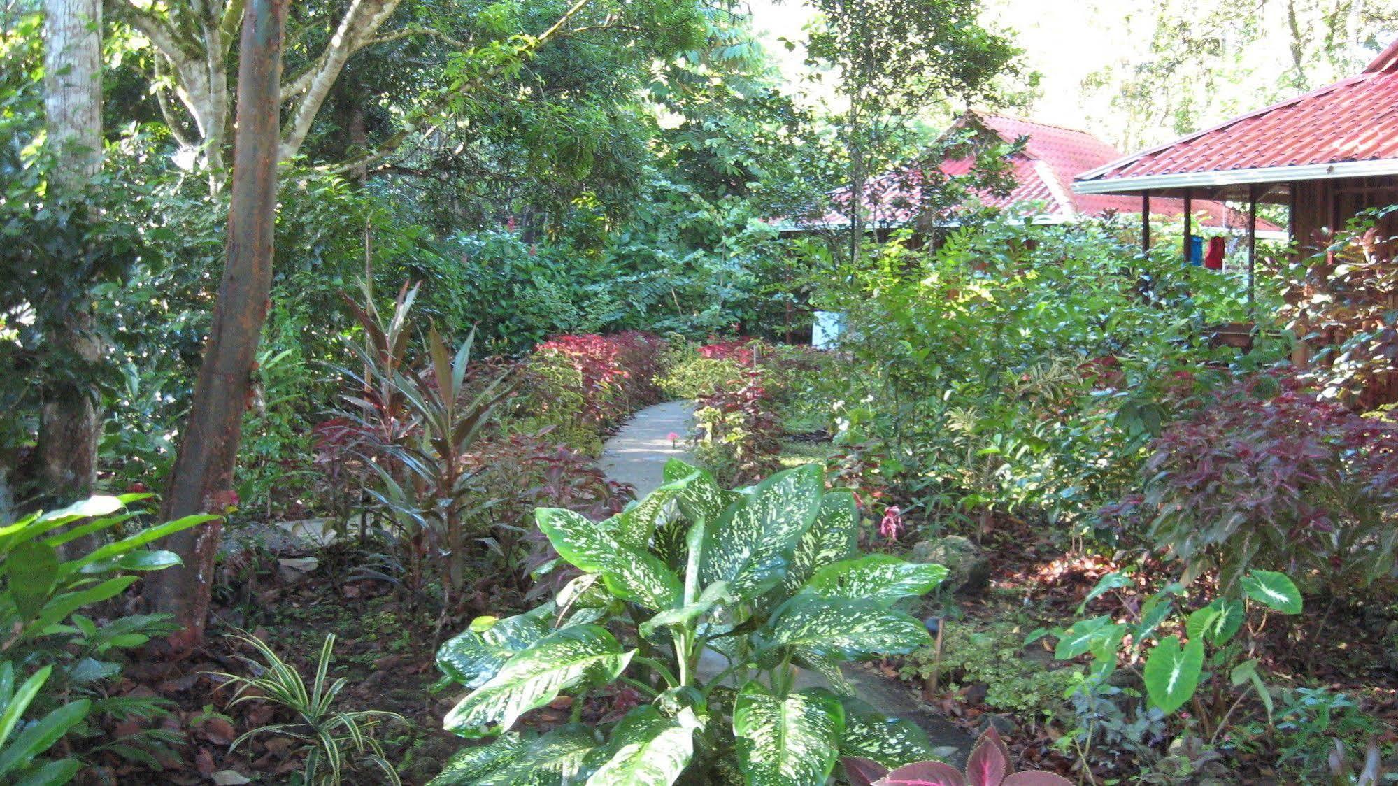 Coral Hill Bungalows Cahuita Ngoại thất bức ảnh