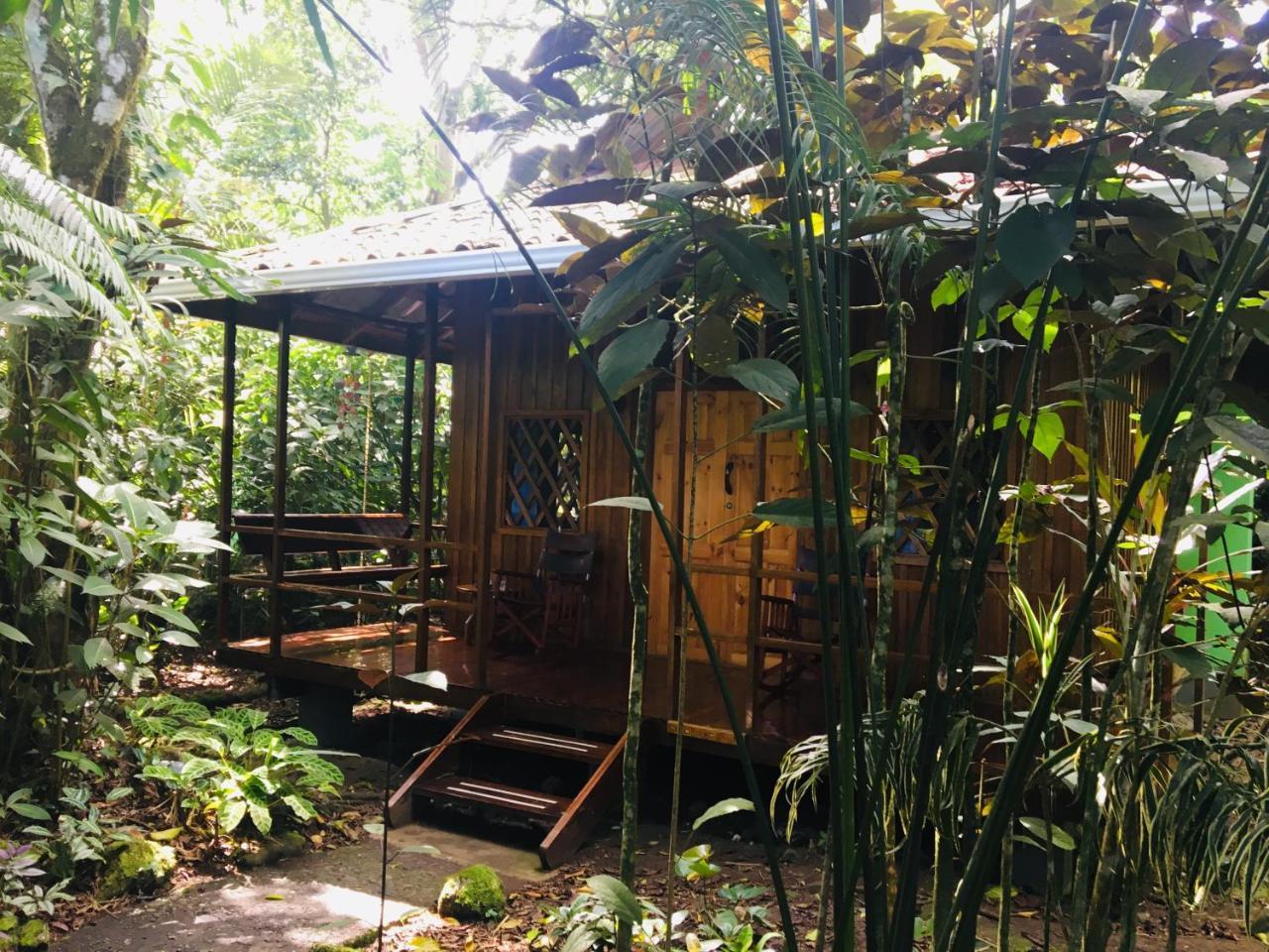 Coral Hill Bungalows Cahuita Ngoại thất bức ảnh