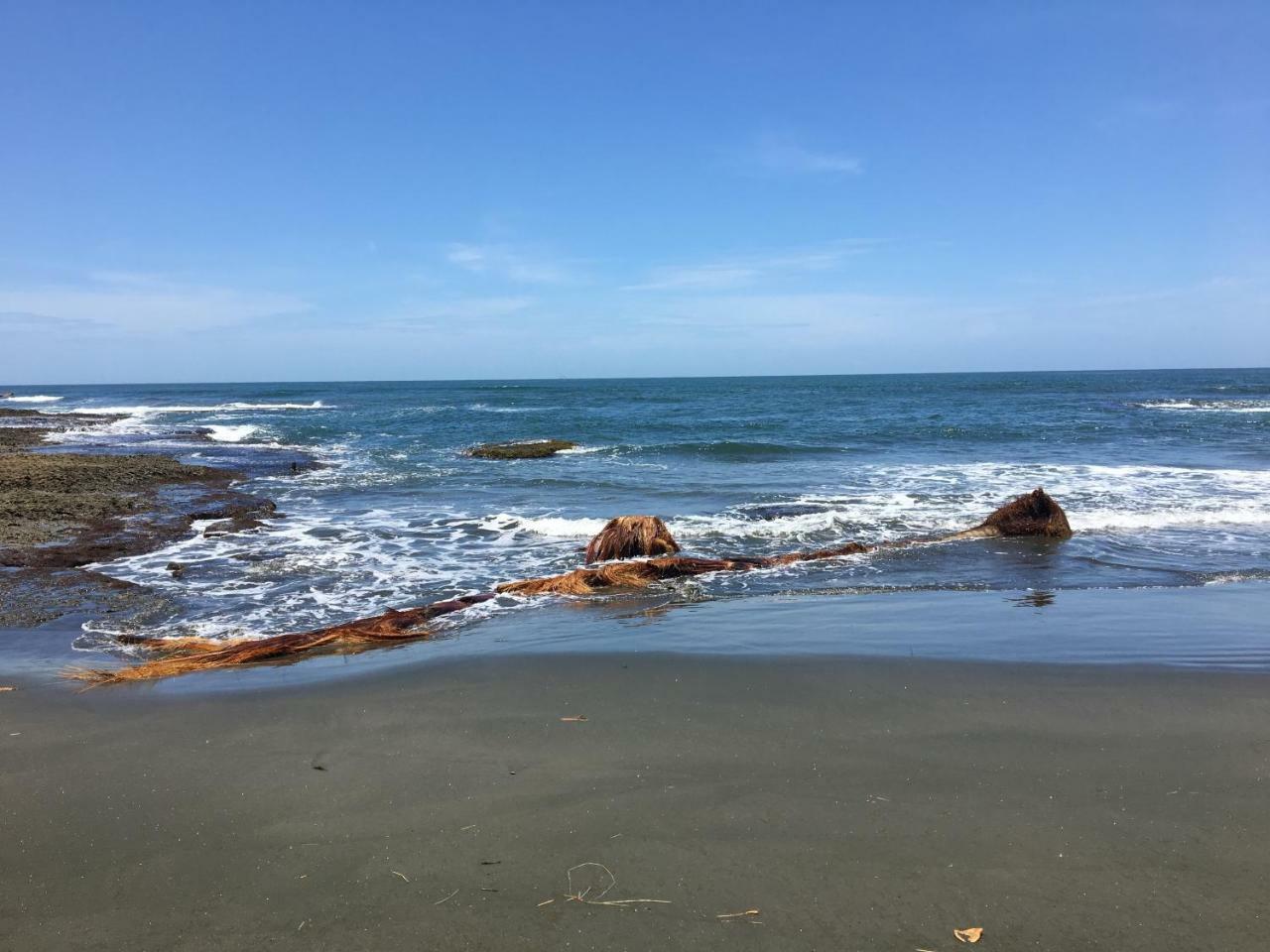 Coral Hill Bungalows Cahuita Ngoại thất bức ảnh
